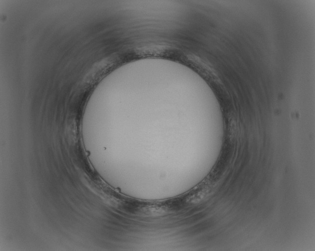 X0000073460498200608251735