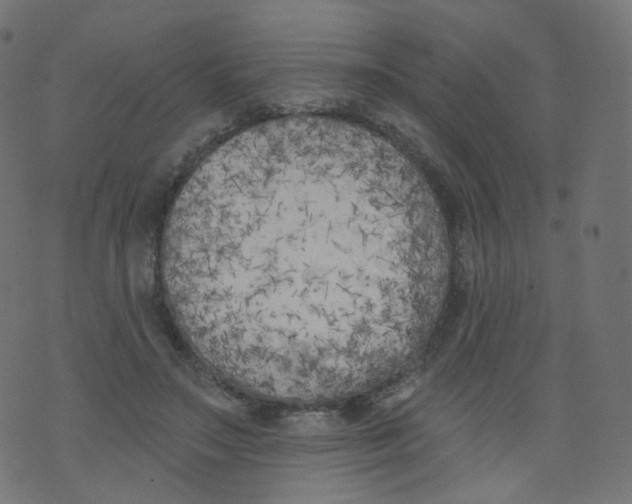 X0000073460499200608251735