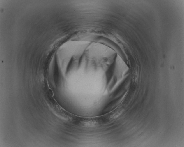 X0000073460500200608251735