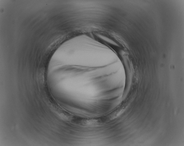 X0000073460501200608251735