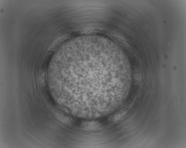 X0000073460503200608251735