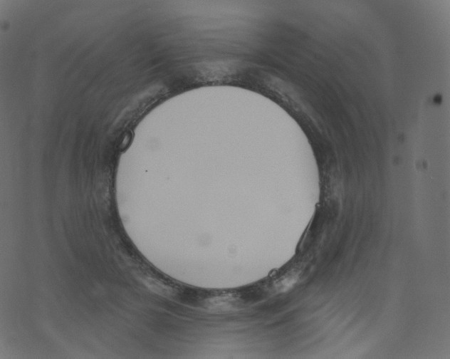 X0000073460505200608251735