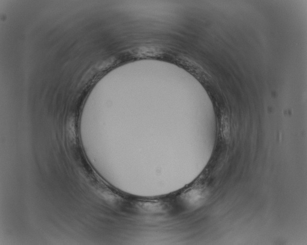 X0000073460506200608251735