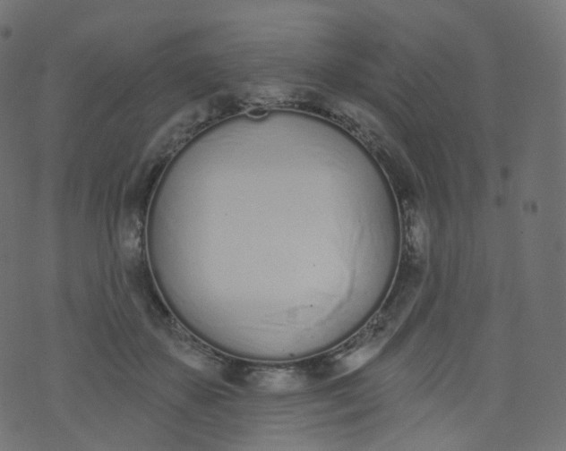 X0000073460507200608251735