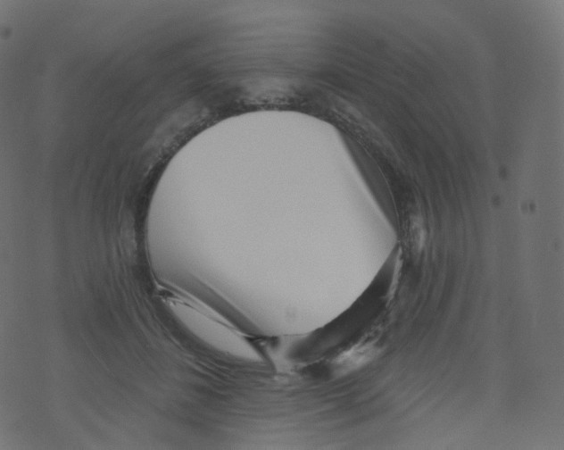 X0000073460508200608251735