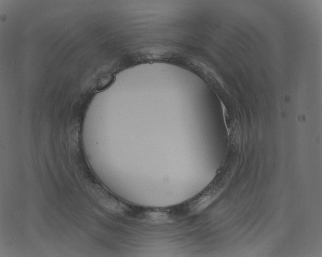 X0000073460509200608251735