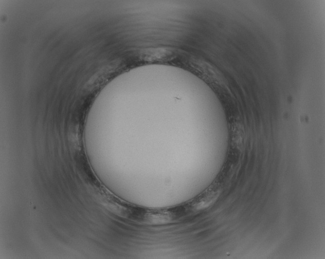 X0000073460510200608251735