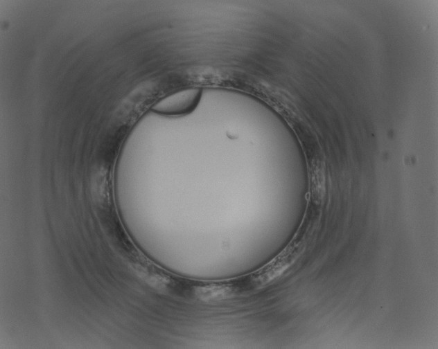 X0000073460511200608251735