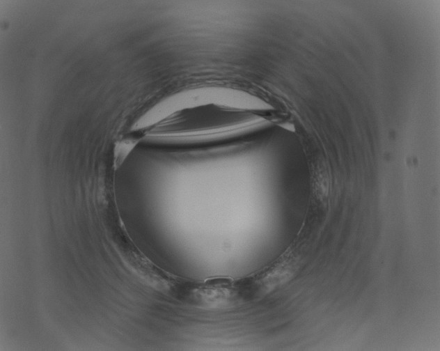 X0000073460512200608251735