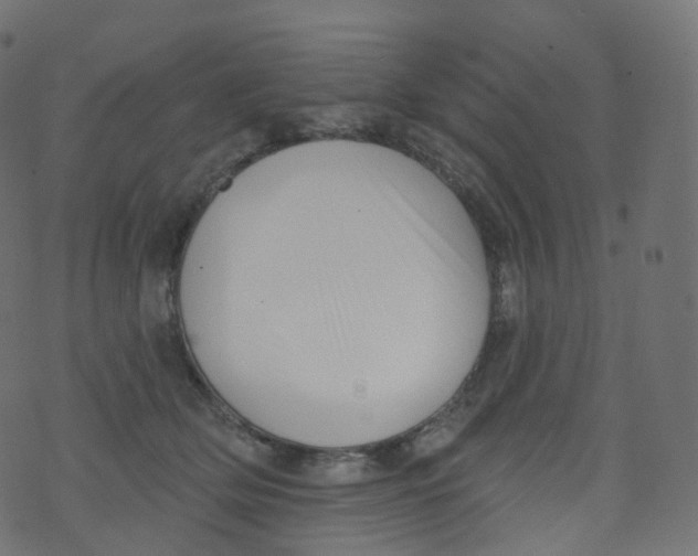 X0000073460514200608251735