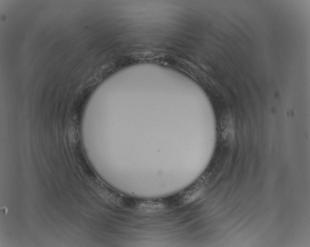 X0000073460515200608251735