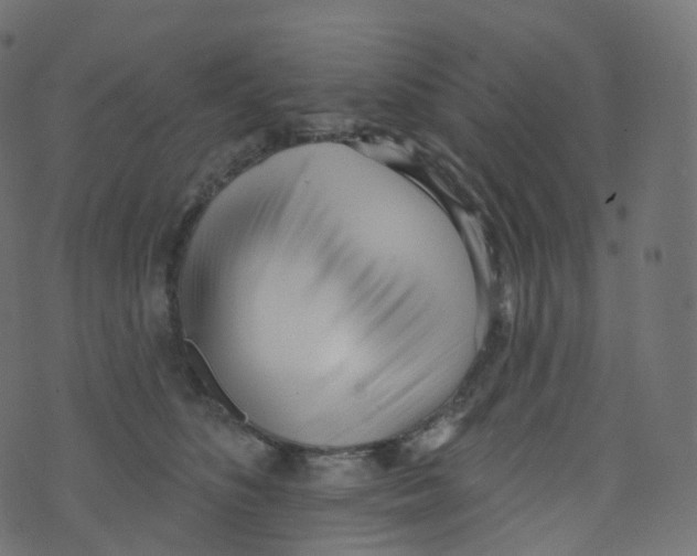 X0000073460516200608251735