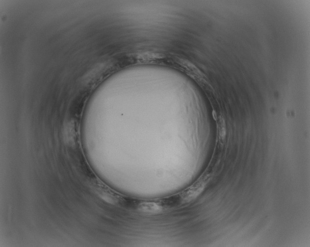 X0000073460519200608251735