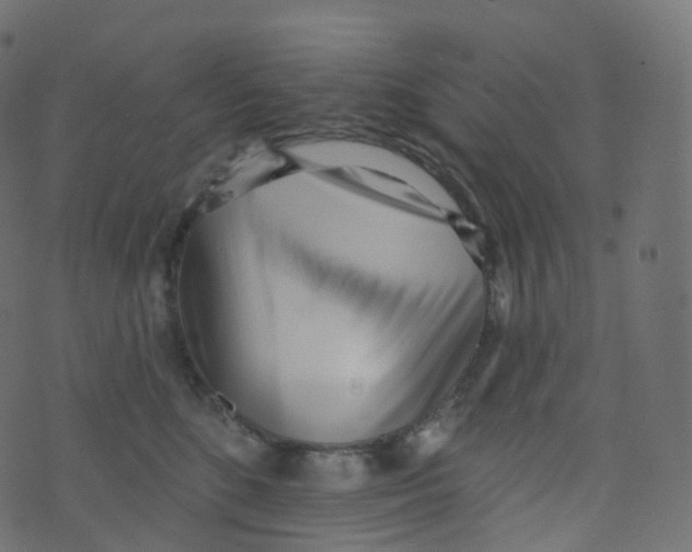 X0000073460520200608251735