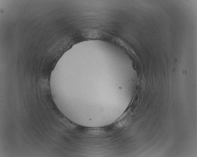 X0000073460521200608251735