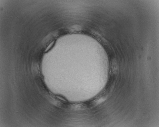 X0000073460523200608251735