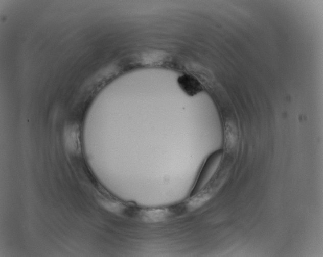 X0000073460527200608251735