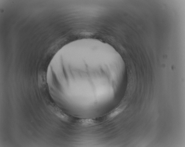 X0000073460528200608251735