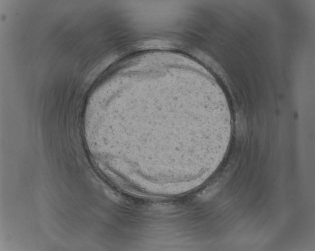 X0000073460529200608251734