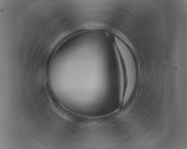 X0000073460530200608251734