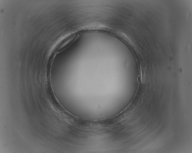 X0000073460531200608251734