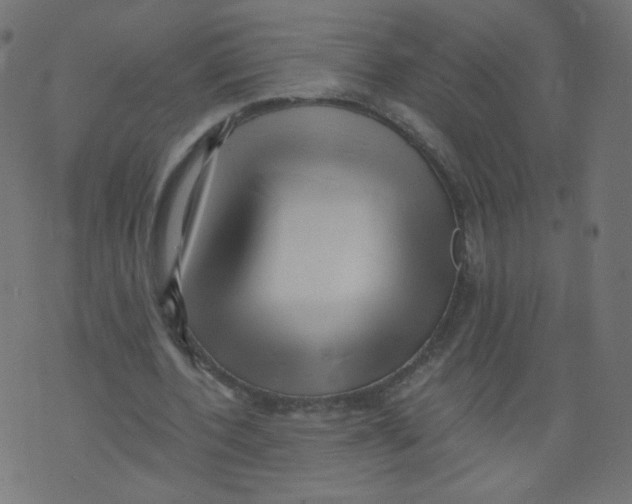 X0000073460532200608251734