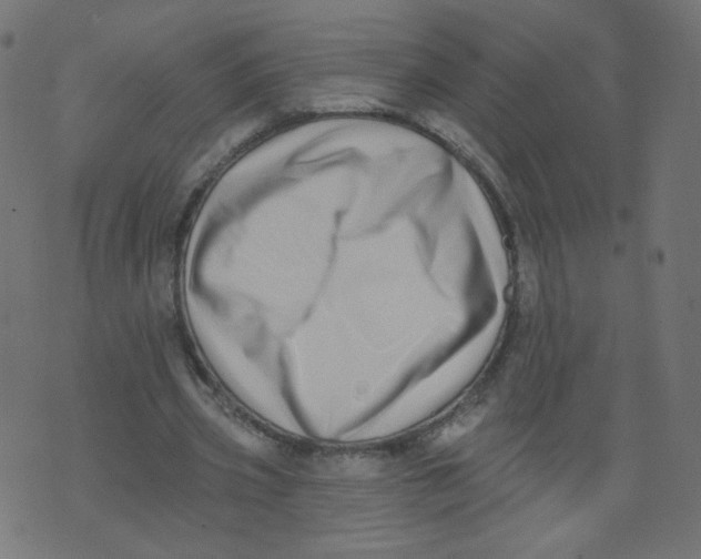 X0000073460533200608251734