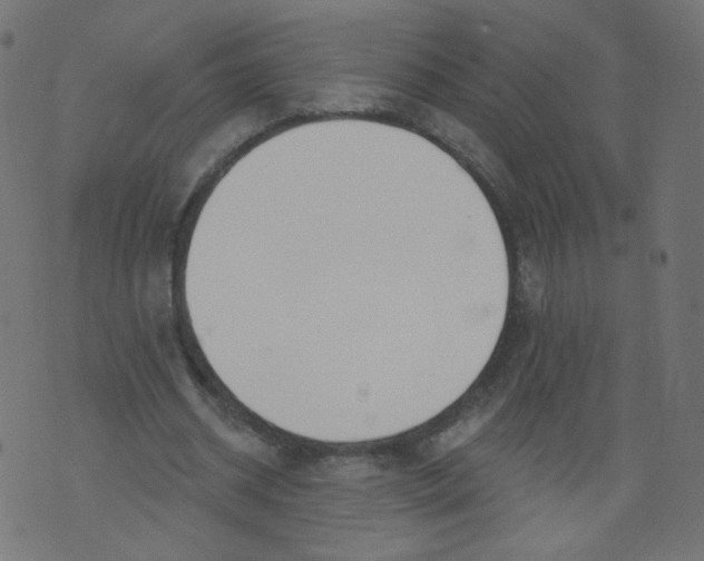 X0000073460534200608251734