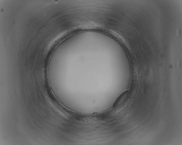 X0000073460535200608251734