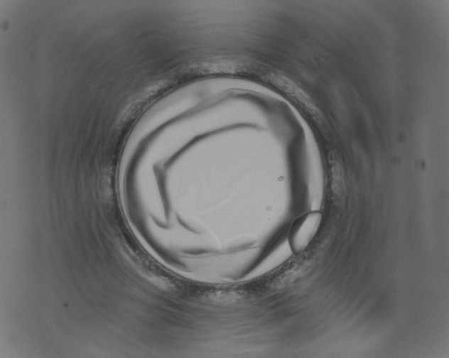 X0000073460537200608251734