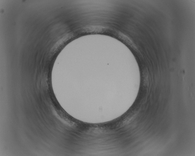 X0000073460538200608251734