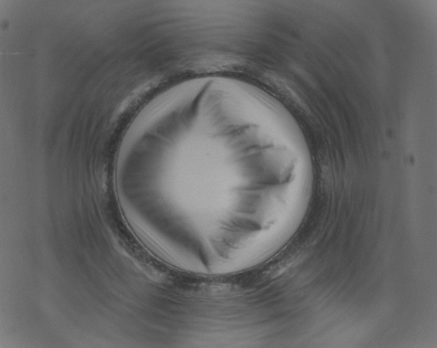 X0000073460539200608251734