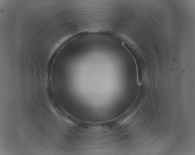 X0000073460540200608251734