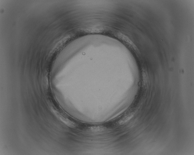 X0000073460541200608251734