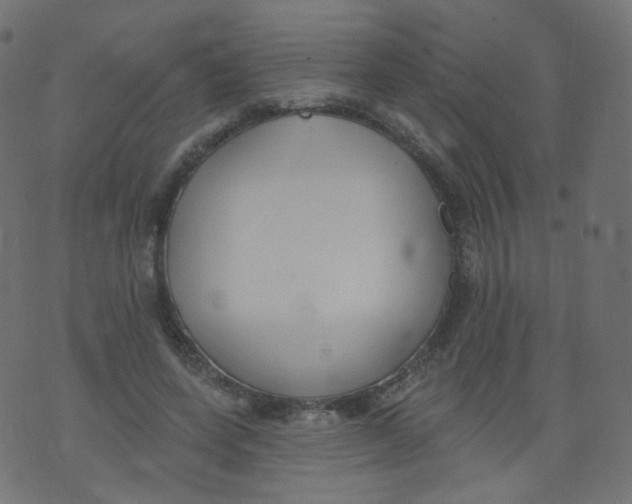 X0000073460543200608251734