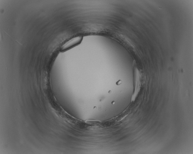 X0000073460544200608251734