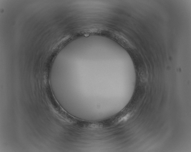 X0000073460546200608251734