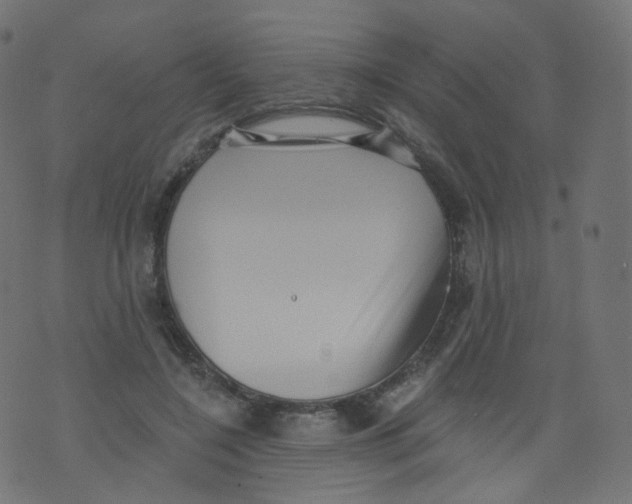 X0000073460548200608251734