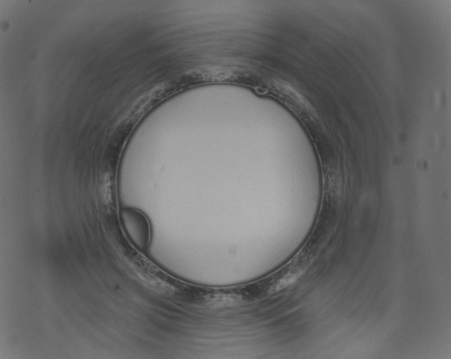 X0000073460549200608251734