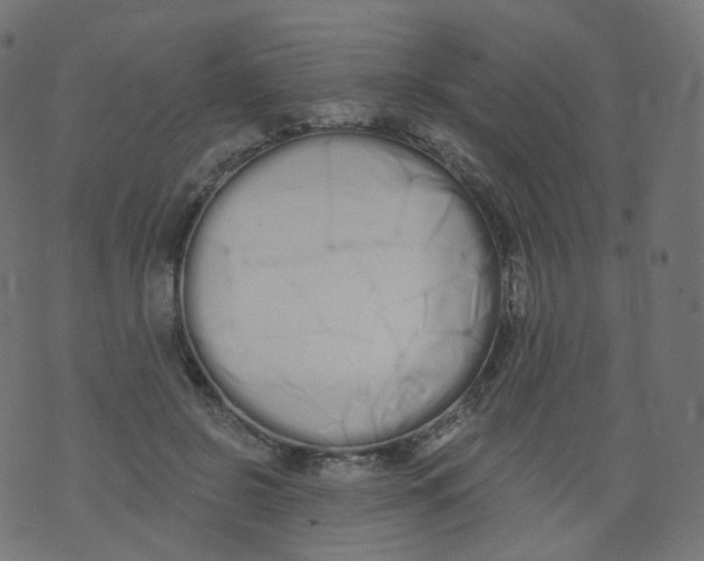 X0000073460550200608251734