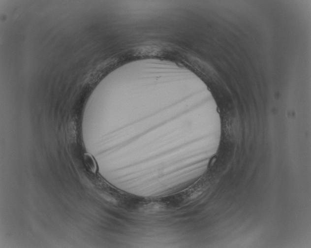 X0000073460551200608251734