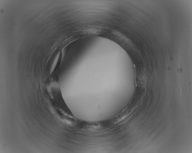 X0000073460552200608251734