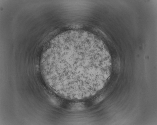 X0000073460553200608251734