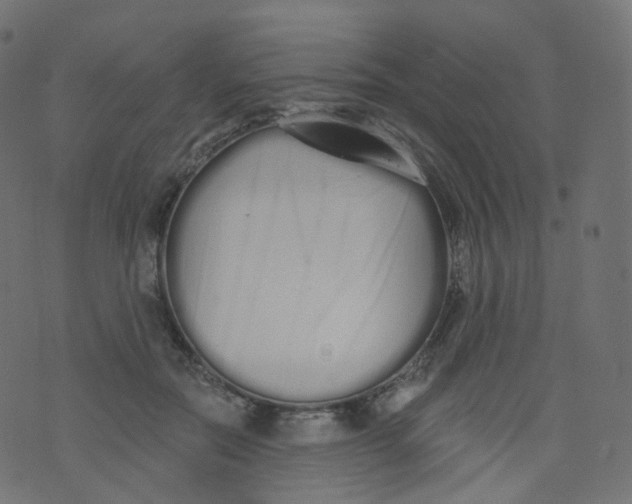 X0000073460554200608251734