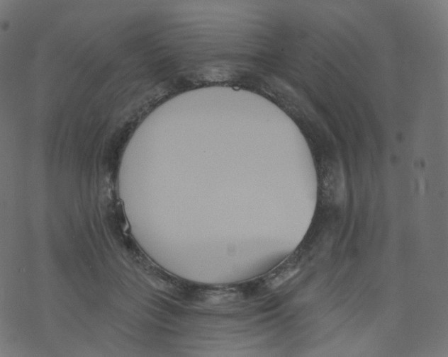 X0000073460555200608251734