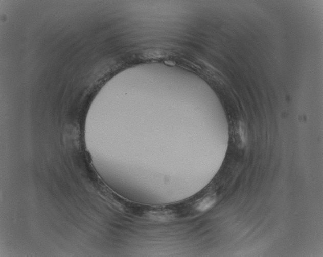 X0000073460556200608251734