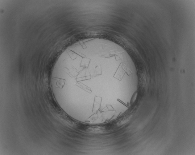 X0000073460557200608251734