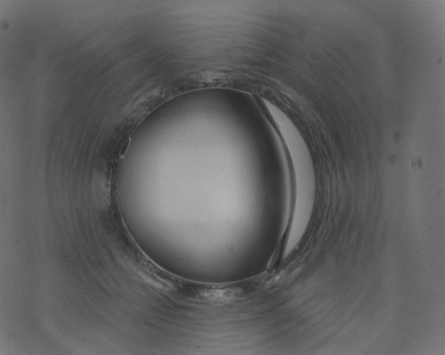 X0000073460558200608251734