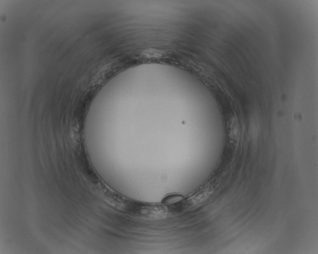 X0000073460559200608251734