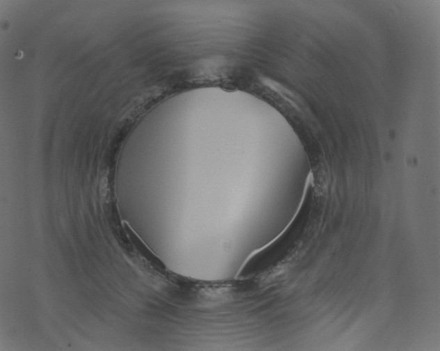 X0000073460560200608251734